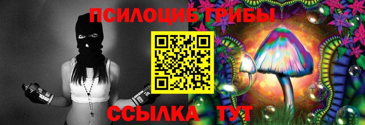 Галлюциногенные грибы GOLDEN TEACHER  Вход с VPN  Новокузнецк 